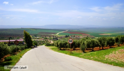 Efr&icirc;n... Du ciwanan xwe bi bombek&ecirc; kuştin