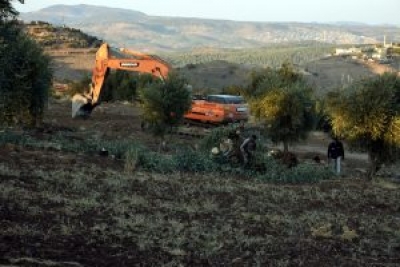 Art&ecirc;şa Tirkiy&ecirc; li Efr&icirc;n&ecirc; dar&ecirc;n zeyt&ucirc;nan hildikin &ucirc; gefan li welatiyan dixwin