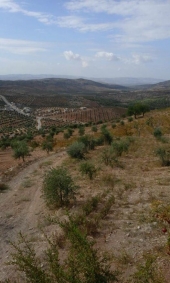&Ccedil;ekdar&ecirc;n PYD&ecirc; &ecirc;r&icirc;ş&icirc; gundek&icirc; Efr&icirc;n&ecirc; kir &ucirc; 2 ciwan revandin