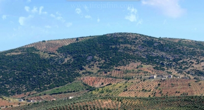 Efr&icirc;n ... Gr&ucirc;p&ecirc;n &ccedil;ekdar kel&ucirc;pel&ecirc;n mal&ecirc;n welatiyan didizin